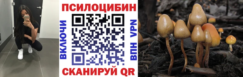 OMG сайт  купить наркотик  Рубцовск  Галлюциногенные грибы ЛСД 